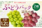 岡山県産 ぶどう パック詰合せ ※2種4パックセット 