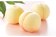 岡山 白桃 ロイヤル 5～10玉 計約2kg 岡山県産 【2025年7月上旬～8月下旬迄発送予定】 フルーツ 果物 くだもの モモ 桃 もも 冷蔵 国産