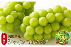 ご家庭用 岡山県産 シャインマスカット 晴王 約2kg（3房～6房） 【2025年8月下旬～11月下旬迄発送予定】 果物 くだもの フルーツ ぶどう ブドウ 葡萄 マスカット