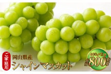 ご家庭用 岡山県産 シャインマスカット 晴王 約800g（400g×2房） 【2025年8月下旬～11月下旬迄発送予定】 果物 くだもの フルーツ ぶどう ブドウ 葡萄 マスカット