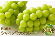 岡山県産 シャインマスカット 晴王 約800g（400g×2房） 【2025年8月下旬～11月下旬迄発送予定】 果物 くだもの フルーツ ぶどう ブドウ 葡萄 マスカット