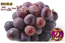 岡山県産 ニューピオーネ 約2kg（3房～6房） 【2025年8月下旬～9月下旬迄発送予定】 果物 くだもの フルーツ ぶどう ブドウ 葡萄