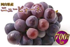 岡山県産 ニューピオーネ 約700g（700g×1房） 【2025年8月下旬～9月下旬迄発送予定】 果物 くだもの フルーツ ぶどう ブドウ 葡萄