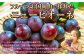 岡山県産 ニューピオーネ 約1kg（500g×2房）