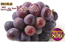 岡山県産 ニューピオーネ 約800g（400g×2房） 【2025年8月下旬～9月下旬迄発送予定】 果物 くだもの フルーツ ぶどう ブドウ 葡萄