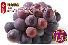 ご家庭用 岡山県産 ニューピオーネ 約1.5kg（3房～6房） 【2025年8月下旬～9月下旬迄発送予定】 果物 くだもの フルーツ ぶどう ブドウ 葡萄