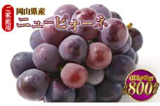 ご家庭用 岡山県産 ニューピオーネ 約800g（400g×2房） 【2025年8月下旬～9月下旬迄発送予定】 果物 くだもの フルーツ ぶどう ブドウ 葡萄