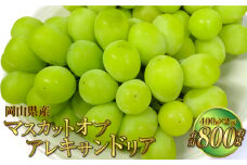岡山県産 マスカットオブアレキサンドリア 約800g（400g×2房） 【2025年8月下旬～9月下旬迄発送予定】 果物 くだもの フルーツ ぶどう ブドウ 葡萄 マスカット