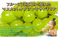 岡山県産 マスカットオブアレキサンドリア 約800g（400g×2房）