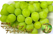 岡山県産 マスカットオブアレキサンドリア 約1kg（500g×2房） 【2025年8月下旬～9月下旬迄発送予定】 果物 くだもの フルーツ ぶどう ブドウ 葡萄 マスカット