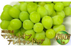岡山県産 マスカットオブアレキサンドリア 約600g（600g×1房） 【2025年8月下旬～9月下旬迄発送予定】 果物 くだもの フルーツ ぶどう ブドウ 葡萄 マスカット