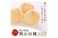 白桃 6玉（1.5kg以上） 等級：ロイヤル 化粧箱入り 