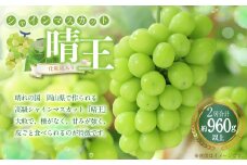 シャインマスカット 晴王 2房（1房480g以上） 計960g以上 化粧箱入り 【2025年8月下旬～11月上旬迄発送予定】 ぶどう ブドウ 葡萄 マスカット 種なし 果物 くだもの フルーツ 冷蔵 国産