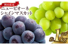 岡山県産 シャインマスカット晴王 ＆ ニューピオーネ 約500g×各1房 計1kg（2房） 【2025年8月上旬～10月上旬迄発送予定】 岡山 大粒 マスカット 果物 くだもの フルーツ ぶどう ブドウ 葡萄 種無し 種なし