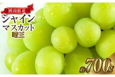 岡山県産 シャインマスカット 晴王 1房 約700g 【2025年8月上旬～10月上旬迄発送予定】 岡山 大粒 たねなし マスカット 果物 くだもの フルーツ ぶどう ブドウ 葡萄 種無し 種なし