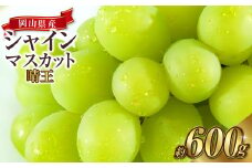 岡山県産 シャインマスカット 晴王 1房 約600g 【2025年8月上旬～10月上旬迄発送予定】 岡山 大粒 たねなし マスカット 果物 くだもの フルーツ ぶどう ブドウ 葡萄 種無し 種なし