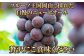 岡山県産 ニューピオーネ 1房 約700g