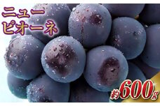 岡山県産 ニューピオーネ 1房 約600g 【2025年8月上旬～10月上旬迄発送予定】 岡山 ピオーネ 種無し 種なし 果物 くだもの フルーツ ぶどう ブドウ 葡萄