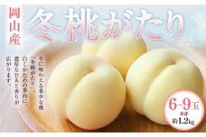 冬桃がたり 6～9玉（合計約1.2kg） 化粧箱入り 【2025年11月下旬～12月下旬迄発送予定】 モモ もも 桃 フルーツ 果物 ギフト 国産 岡山県産