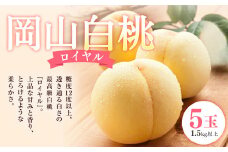 岡山 白桃 ロイヤル 5玉 （合計1.5kg以上） 化粧箱入り 【2025年7月上旬～8月上旬迄発送予定】 はくとう モモ もも 桃 フルーツ 果物 くだもの 冷蔵