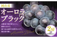 オーロラブラック 2房（1房480g以上・合計960g以上） 化粧箱入り 【2025年8月下旬～9月下旬迄発送予定】 葡萄 ブドウ ぶどう フルーツ 果物 ギフト 国産 岡山県産