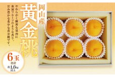 黄金桃 6玉（合計1.6kg以上） 化粧箱入り 【2025年8月下旬～9月上旬迄発送予定】 黄金 モモ もも 桃 フルーツ 果物 国産