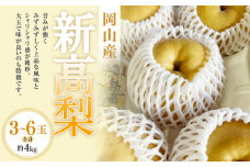 新高梨 3－6玉（合計約4kg） 化粧箱入り 【2025年9月下旬～11月上旬迄発送予定】 なし 梨 ナシ 国産 フルーツ 果物 ギフト 岡山県産