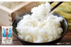 BG無洗米 瀬戸内限定米 あきたこまち 5kg×2袋 計10kg 令和6年産 おこめ お米 こめ コメ ブランド米 無洗米 ごはん 白米 食品 国産