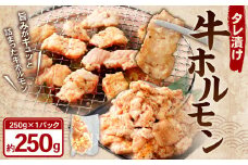 タレ漬け 牛ホルモン 計250g 牛肉 牛 ホルモン お肉 肉 たれ漬け 焼き肉 焼肉