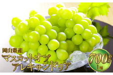 岡山県産 マスカット・オブ・アレキサンドリア 約700g（1房） 果物 フルーツ くだもの ぶどう ブドウ 葡萄 マスカット 冷蔵 国産 奈義町 【2025年6月下旬～7月下旬発送予定】