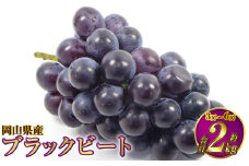 岡山県産 ブラックビート 約2kg（3房～6房）【2025年8月上旬～9月上旬発送予定】 ぶどう ブドウ 葡萄
