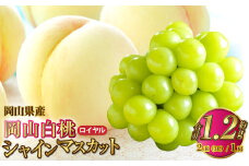 岡山県産 岡山白桃 ロイヤル 3Lサイズ 約300g×2玉・シャインマスカット 晴王 約600g×1房 詰合せ 【2025年7月上旬～8月下旬発送予定】 白桃 桃 もも モモ マスカット ぶどう 葡萄 ブドウ セット