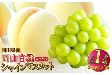 岡山県産 岡山白桃 ロイヤル 2Lサイズ 約250g×2玉・シャインマスカット 晴王 約500g×1房 詰合せ 【2025年7月上旬～8月下旬発送予定】 白桃 桃 もも モモ マスカット ぶどう 葡萄 ブドウ セット