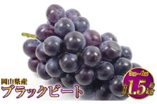 岡山県産 ブラックビート 約1.5kg（3房～6房）【2025年8月上旬～9月上旬発送予定】 ぶどう ブドウ 葡萄