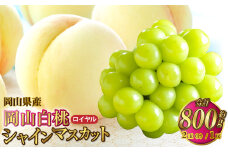 岡山県産 岡山白桃 ロイヤル Lサイズ 約200g×2玉・シャインマスカット 晴王 約400g×1房 詰合せ 【2025年7月上旬～8月下旬発送予定】 白桃 桃 もも モモ マスカット ぶどう 葡萄 ブドウ セット