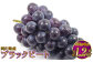 岡山県産 ブラックビート 約1.2kg（約600g×2房）
