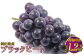 岡山県産 ブラックビート 約1.2kg（約600g×2房）