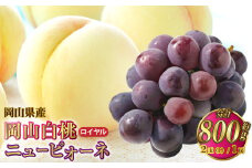 岡山県産 岡山白桃 ロイヤル Lサイズ 約200g×2玉・ニューピオーネ 約400g×1房 詰合せ 【2025年7月上旬～8月下旬発送予定】 白桃 桃 もも モモ ピオーネ ぶどう 葡萄 ブドウ セット