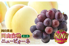 岡山県産 岡山白桃 エース Lサイズ 約200g×2玉・ニューピオーネ 約400g×1房 詰合せ 【2025年7月上旬～8月下旬発送予定】 白桃 桃 もも モモ ピオーネ ぶどう 葡萄 ブドウ セット