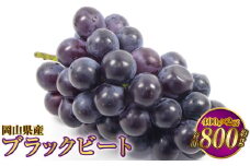 岡山県産 ブラックビート 約800g（約400g×2房）【2025年8月上旬～9月上旬発送予定】 ぶどう ブドウ 葡萄