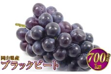 岡山県産 ブラックビート 約700g（1房）【2025年8月上旬～9月上旬発送予定】 ぶどう ブドウ 葡萄