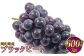 岡山県産 ブラックビート 約600g（1房）