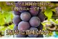 岡山県産 ニューピオーネ 約800g（約400g×2房）