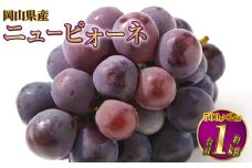 岡山県産 ニューピオーネ 約1kg（約500g×2房）  【2025年6月下旬～7月下旬発送予定】 ピオーネ ぶどう 葡萄 ブドウ 種なし