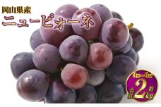 岡山県産 ニューピオーネ 約2kg（3房～6房） 【2025年6月下旬～7月下旬発送予定】 ピオーネ ぶどう 葡萄 ブドウ 種なし