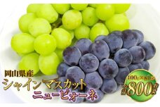 岡山県産 シャインマスカット 晴王・ニューピオーネ Lサイズ 計約800g 詰合せ 【2025年6月下旬～7月下旬発送予定】 各1房 マスカット ピオーネ ぶどう 葡萄 ブドウ 種なし セット