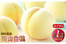岡山白桃 ロイヤル 4～6玉 約1kg 岡山県産【2025年7月上旬～8月下旬発送予定】 白桃 桃 もも モモ