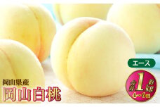 岡山白桃 エース 4～6玉 約1kg 岡山県産【2025年7月上旬～8月下旬発送予定】 白桃 桃 もも モモ