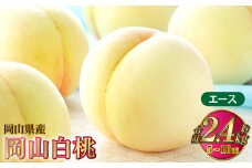 岡山白桃 エース 5～10玉 約2.4kg 岡山県産【2025年7月上旬～8月下旬発送予定】 白桃 桃 もも モモ