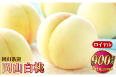 岡山白桃 ロイヤル 3玉×約300g（3Lサイズ） 計約900g 岡山県産【2025年7月上旬～8月下旬発送予定】 白桃 桃 もも モモ